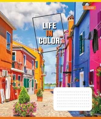 Тетрадь для записей 1В Life in colors А5 36 листов клетка