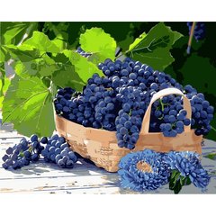 Картина по номерам "Виноград в корзине" 40*50 см, ТМ Идейка (КНО5579)