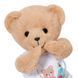 М'яка іграшка Baby Born &ndash; Ведмедик Тедді (834435)