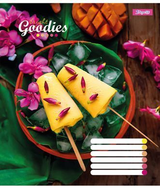 Зошит для записів 1В Bright goodies А5 96 аркушів лінія