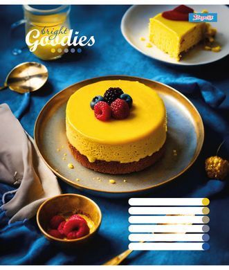 Зошит для записів 1В Bright goodies А5 96 аркушів лінія