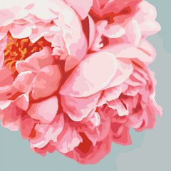 Картина по номерам "Розовые пионы" 40*40 см, ТМ Идейка (КНО3035)