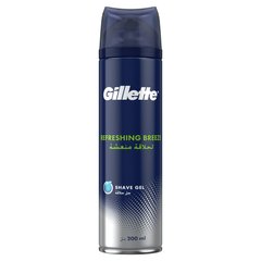 Пена для бритья Gillette Refreshing Breeze 250 мл 02481
