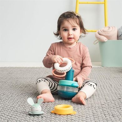Пирамидка Taf Toys Полярное сияние Кролик (12445)
