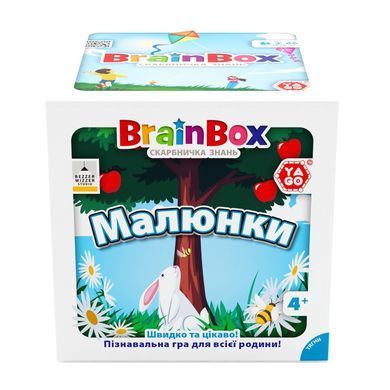 Познавательная игра - BrainBox Рисунки (BZZBRPI01UA)