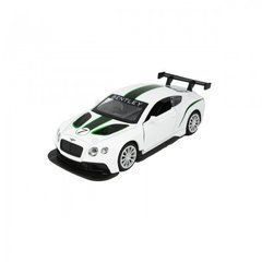 Автомодель - BENTLEY CONTINENTAL GT3 (белый) 250258