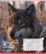 Тетрадь школьная 1B Animals of Ukraine А5 18 листов линия