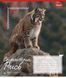Тетрадь школьная 1B Animals of Ukraine А5 18 листов линия