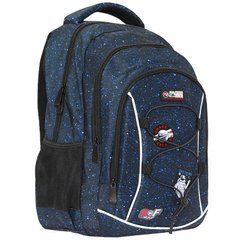 24-270M-3 SAFARI Рюкзак 3 отделения 41x28x18 см, полиэстер