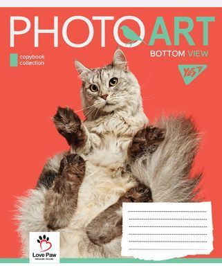 А5/48 лін. YES Photoart, зошит для записів