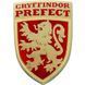 Подарунковий набір HARRY POTTER Gryffindor (Склянка, пін та блокнот)
