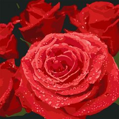 Картина за номерами "Червоні троянди" 40*40 см, ТМ Ідейка (КНО3089)