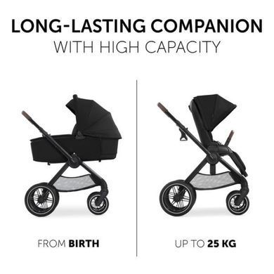 Универсальная коляска 2 в 1 Hauck Walk N Care Air черный (16547-8)