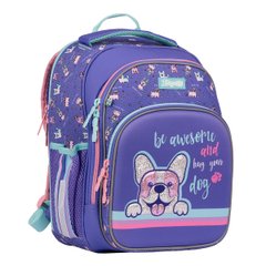Рюкзак школьный каркасный 1Вересня S-106 Corgi фиолетовый