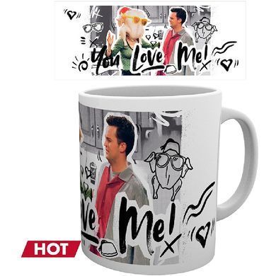 Чашка хамелеон FRIENDS You Love Me (Друзья) 320 мл