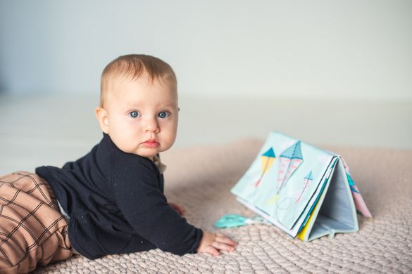 Розвиваюча Перекидна Книжка Колекції "Мрійливі Коали" - ПРИГОДИ КОАЛИ КІММІ (12395 НТВ)